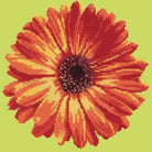 Pot Marigold - NEEDLEWORK KITS