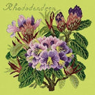 Rhododendron - NEEDLEWORK KITS