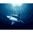 Shark Diy Paint By Numbers Kits WM-1242 - NEEDLEWORK KITS