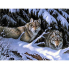 Snow Wolf Diy Paint By Numbers Kits PBN55712 - NEEDLEWORK KITS