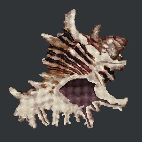 Spiky Conch - NEEDLEWORK KITS