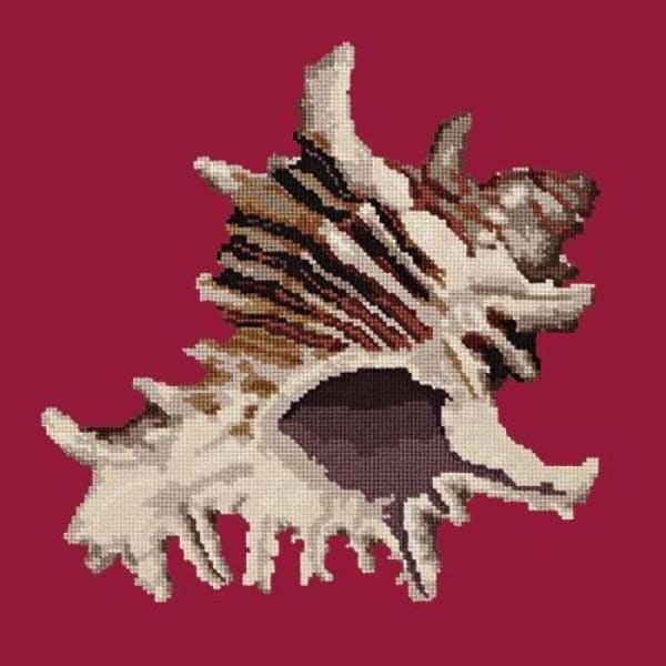 Spiky Conch - NEEDLEWORK KITS