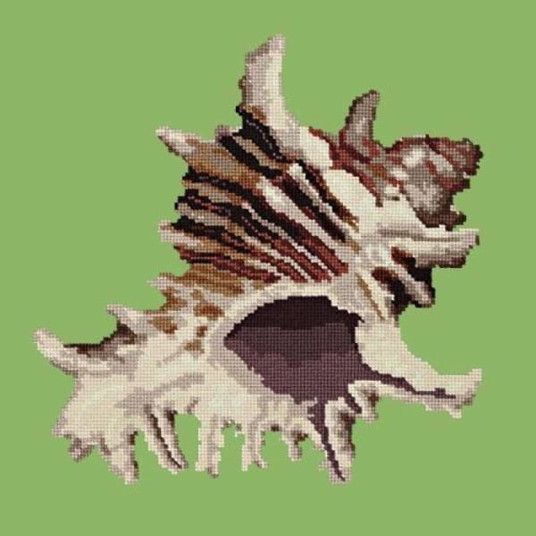 Spiky Conch - NEEDLEWORK KITS