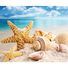 Starfish Diy Paint By Numbers Kits VM30248 - NEEDLEWORK KITS