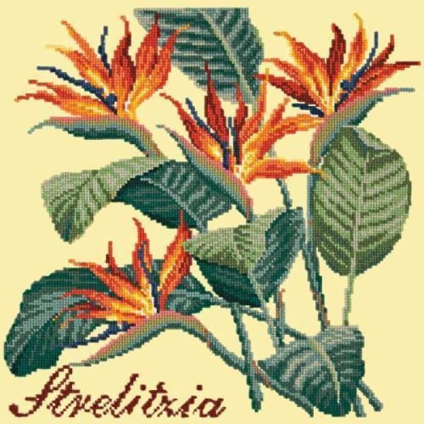 Strelitzia (Bird of Paradise) - NEEDLEWORK KITS