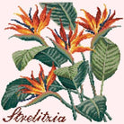 Strelitzia (Bird of Paradise) - NEEDLEWORK KITS