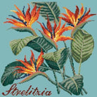 Strelitzia (Bird of Paradise) - NEEDLEWORK KITS