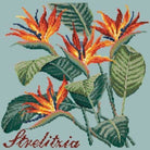 Strelitzia (Bird of Paradise) - NEEDLEWORK KITS