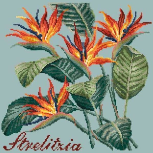 Strelitzia (Bird of Paradise) - NEEDLEWORK KITS