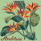Strelitzia (Bird of Paradise) - NEEDLEWORK KITS