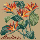 Strelitzia (Bird of Paradise) - NEEDLEWORK KITS
