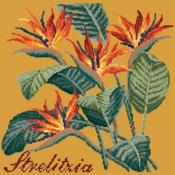 Strelitzia (Bird of Paradise) - NEEDLEWORK KITS
