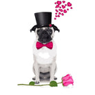 Valentines Day Diy Paint by Numbers Kits DIY PBN30269 - NEEDLEWORK KITS