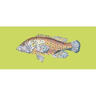 Vermilion Seabass - NEEDLEWORK KITS