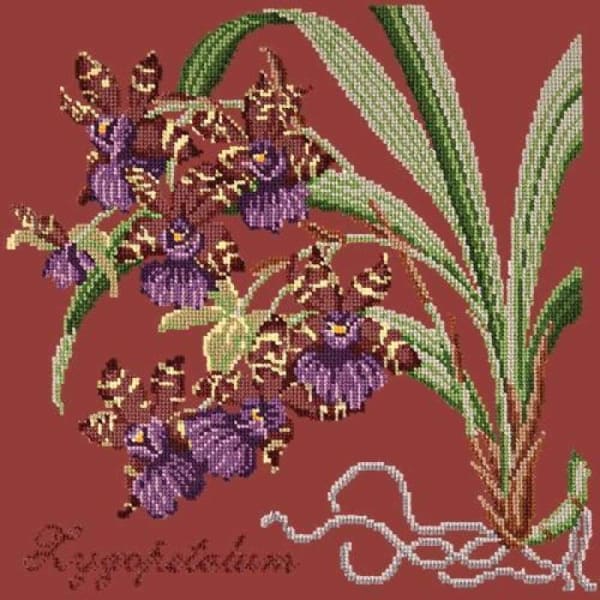 Zygopetalum (Ladybird Orchid) - NEEDLEWORK KITS